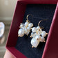 Freshwater pearls with white crystal fire work dangle earrling,holiday gift,christmas gift