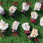 Large Raw Clear Quartz,White Phantom Quartz,Sprit Quartz,Crystal Points,Large Raw Quartz Cluster ornament